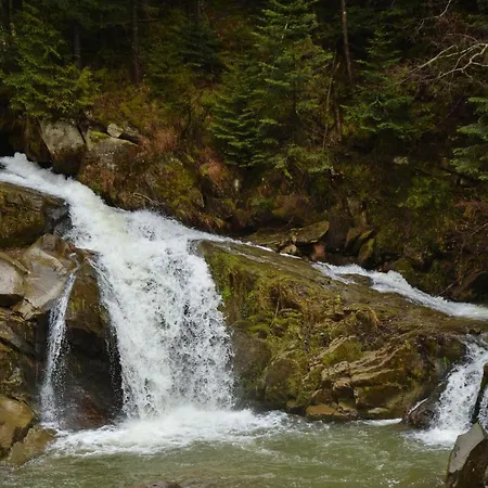 Resort глемпінг едельвейс Oryavchyk