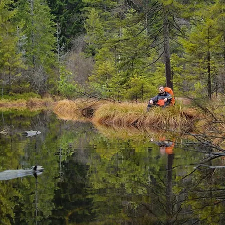 глемпінг едельвейс 리조트