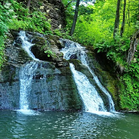 глемпінг едельвейс 리조트 *