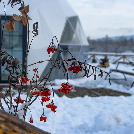 глемпінг едельвейс Oryavchyk